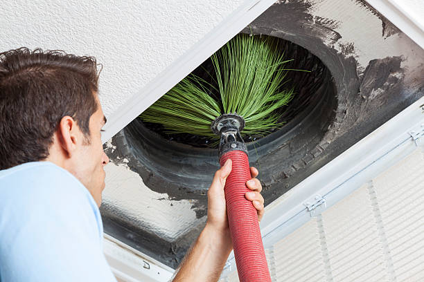 Air Duct Mold Removal in Vero Lake Estates, FL